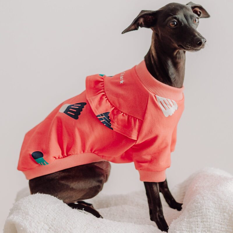 Ubranko dla charcika - Bluza Badminton Girl