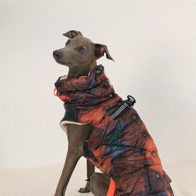 Ubranko dla charcika - Kamizelka Orange Camouflage