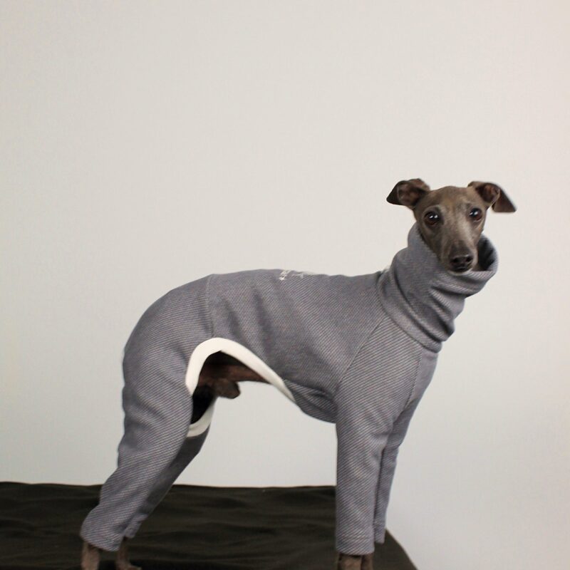 Ubranko dla charcika - Dres Oslo Grey