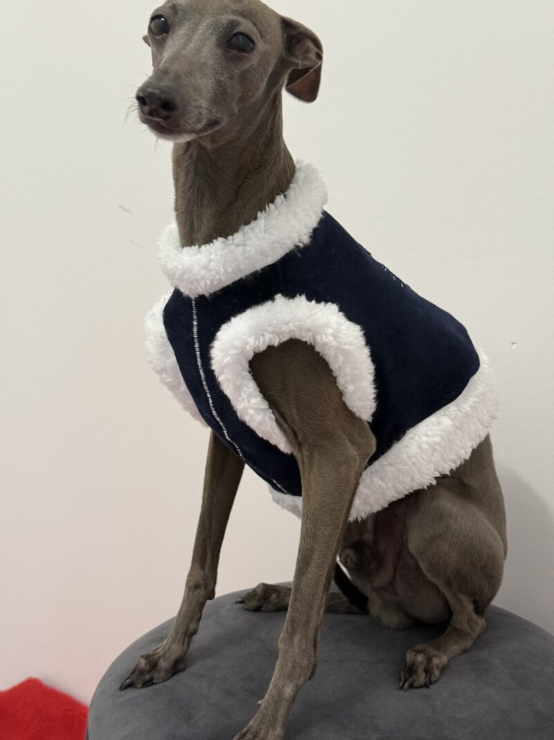 Cookies Tester- świąteczny top - kamizelka dla charcika włoskiego