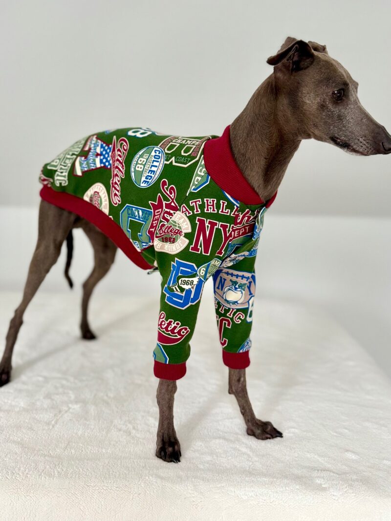 Cambridge Bluza dla Charcika włoskiego