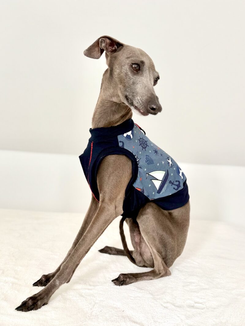 Ubranko dla charcika - Top Sydney