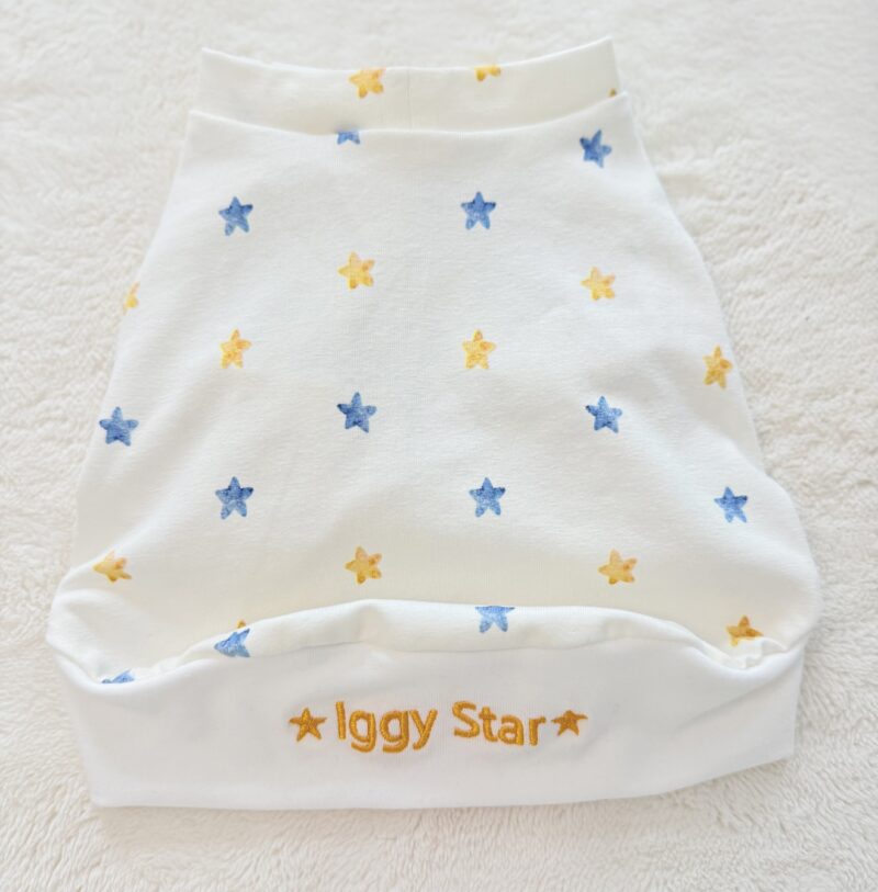Gold Star - top dla charcika włoskiego - obrazek 3