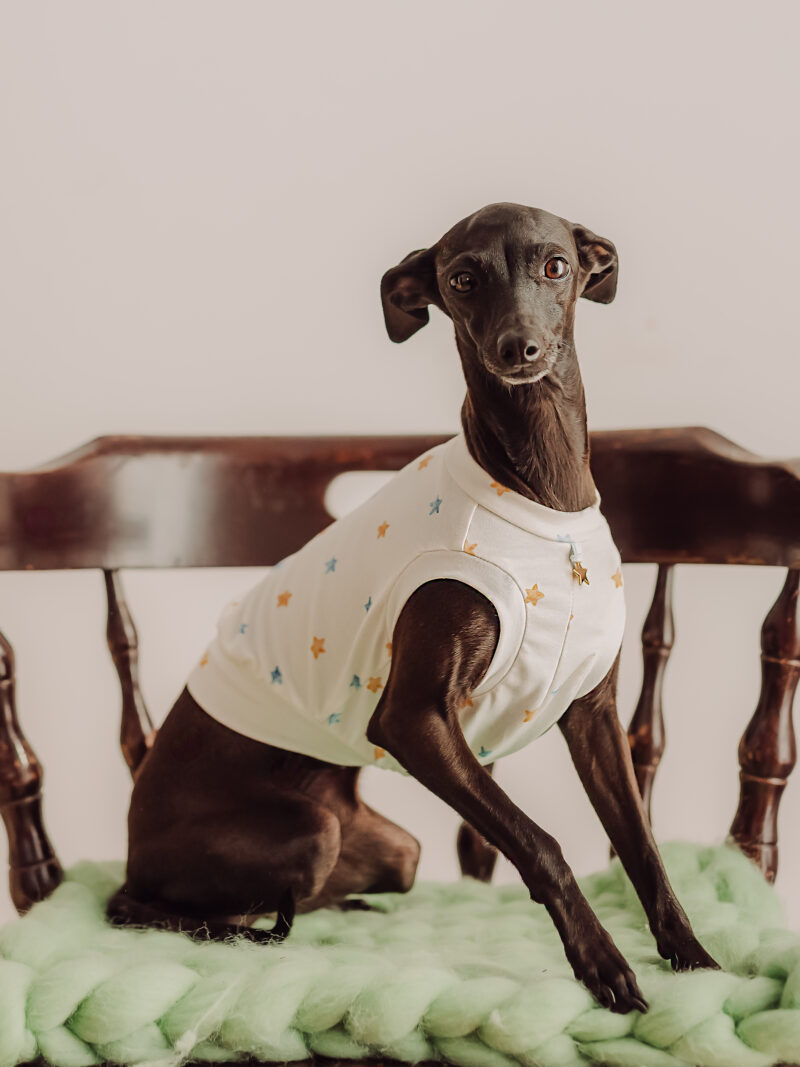 Ubranko dla charcika - top Gold Star