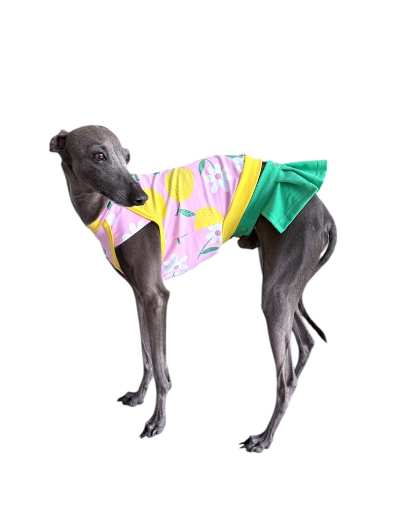 Charcik Włoski - Spódniczka Murcia