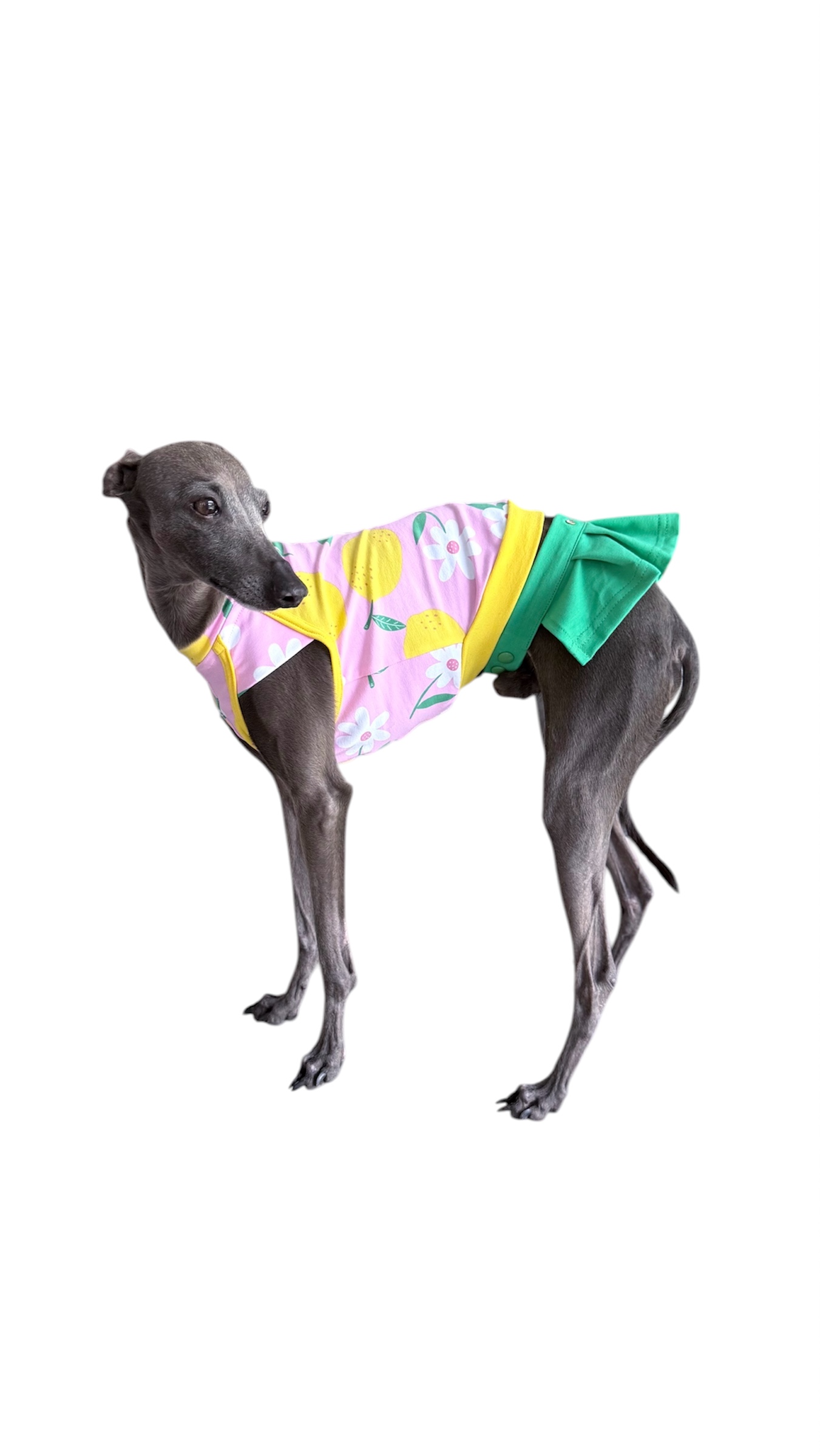 Charcik Włoski - Spódniczka Murcia