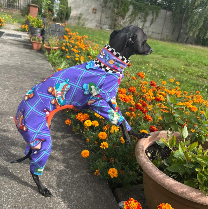Dres Los Angeles dla charcika