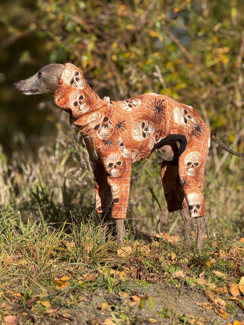 Ubranko dla charcika dres