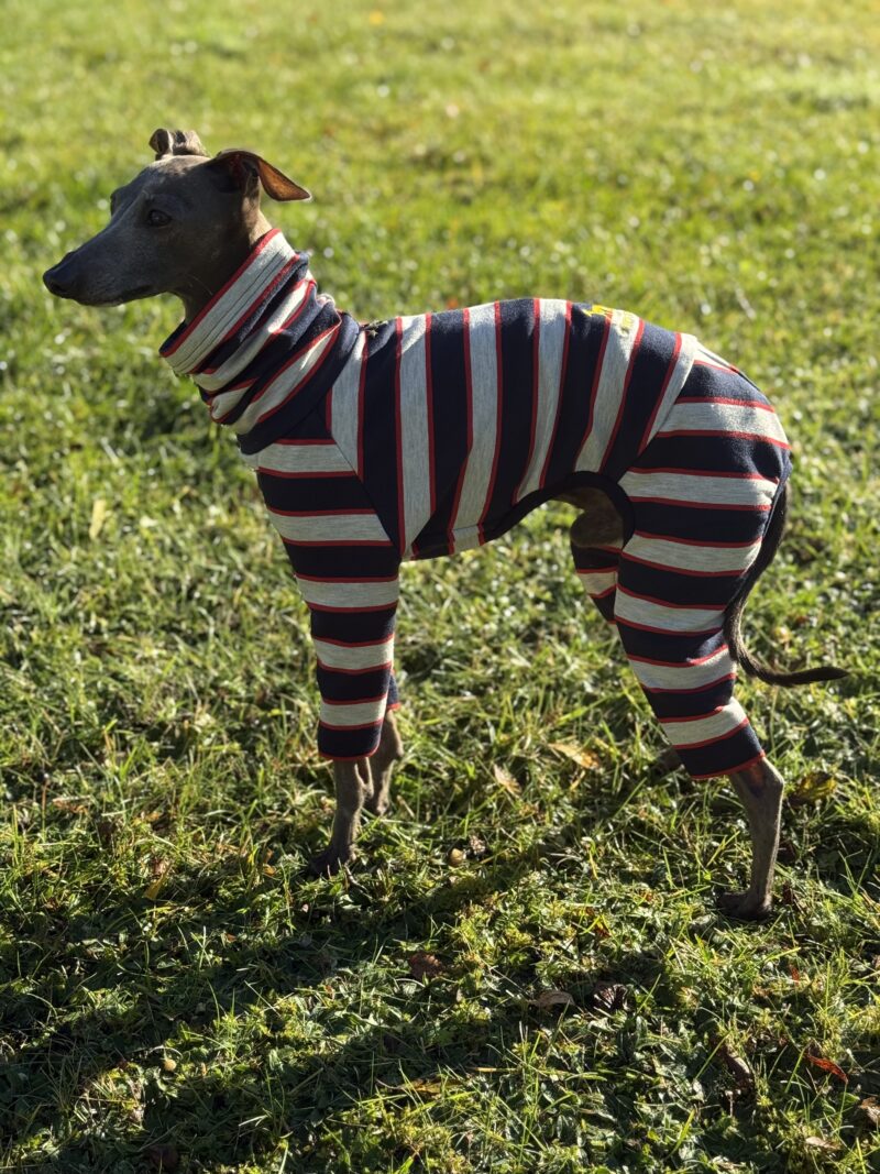 Ubranko dla charcika włoskiego