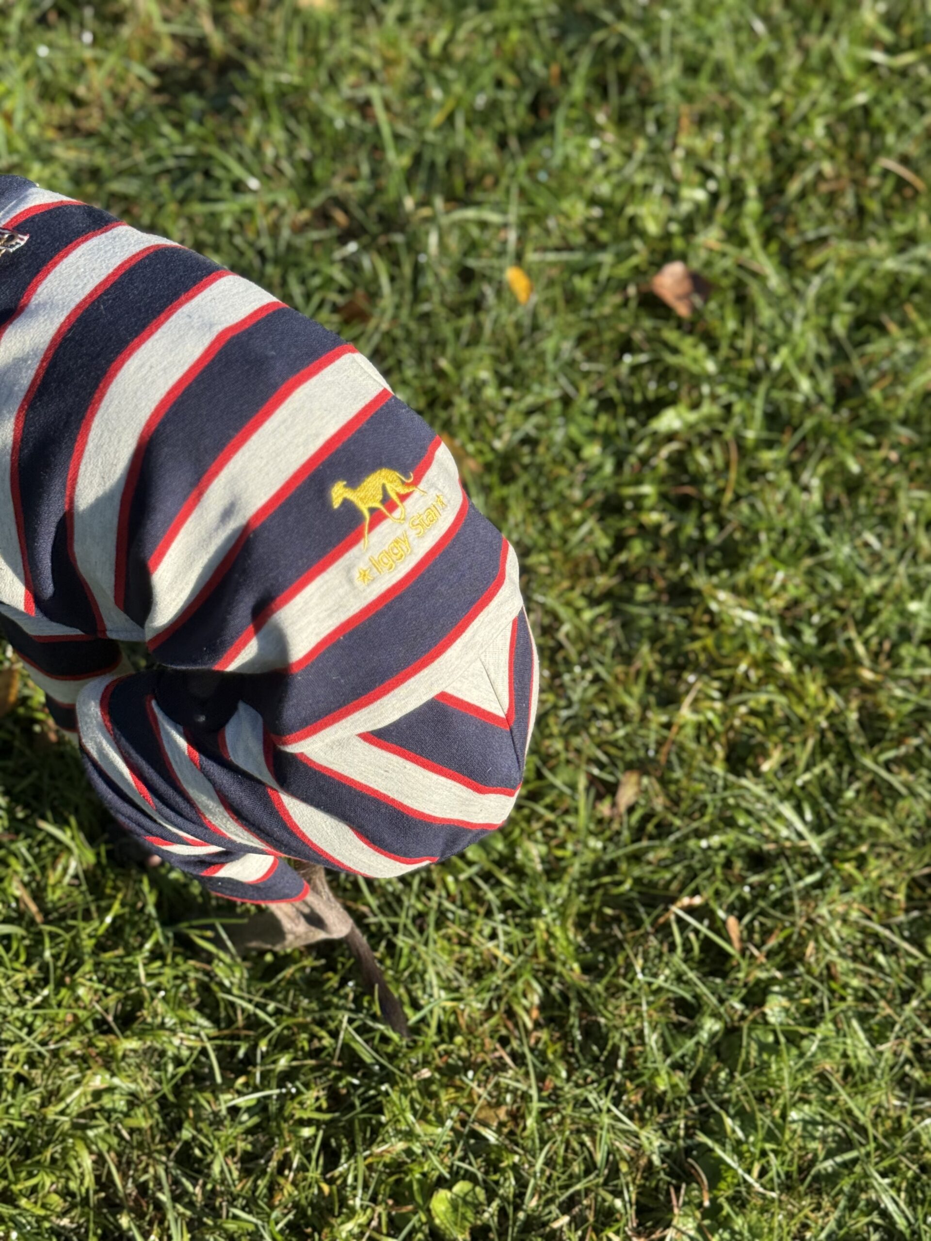 Ubranko dla charcika - Dres New York - obrazek 4