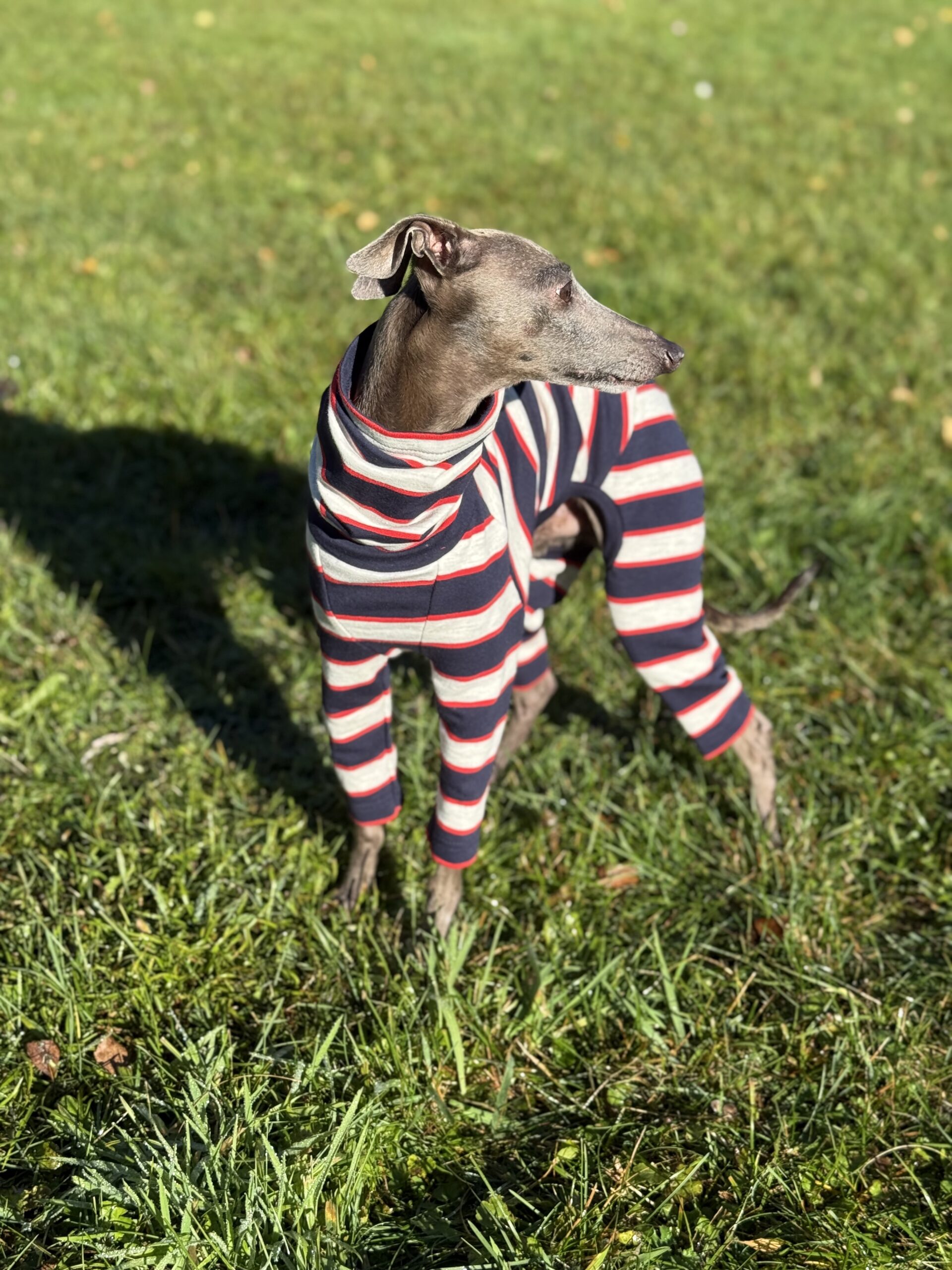 Ubranko dla charcika - Dres New York - obrazek 3