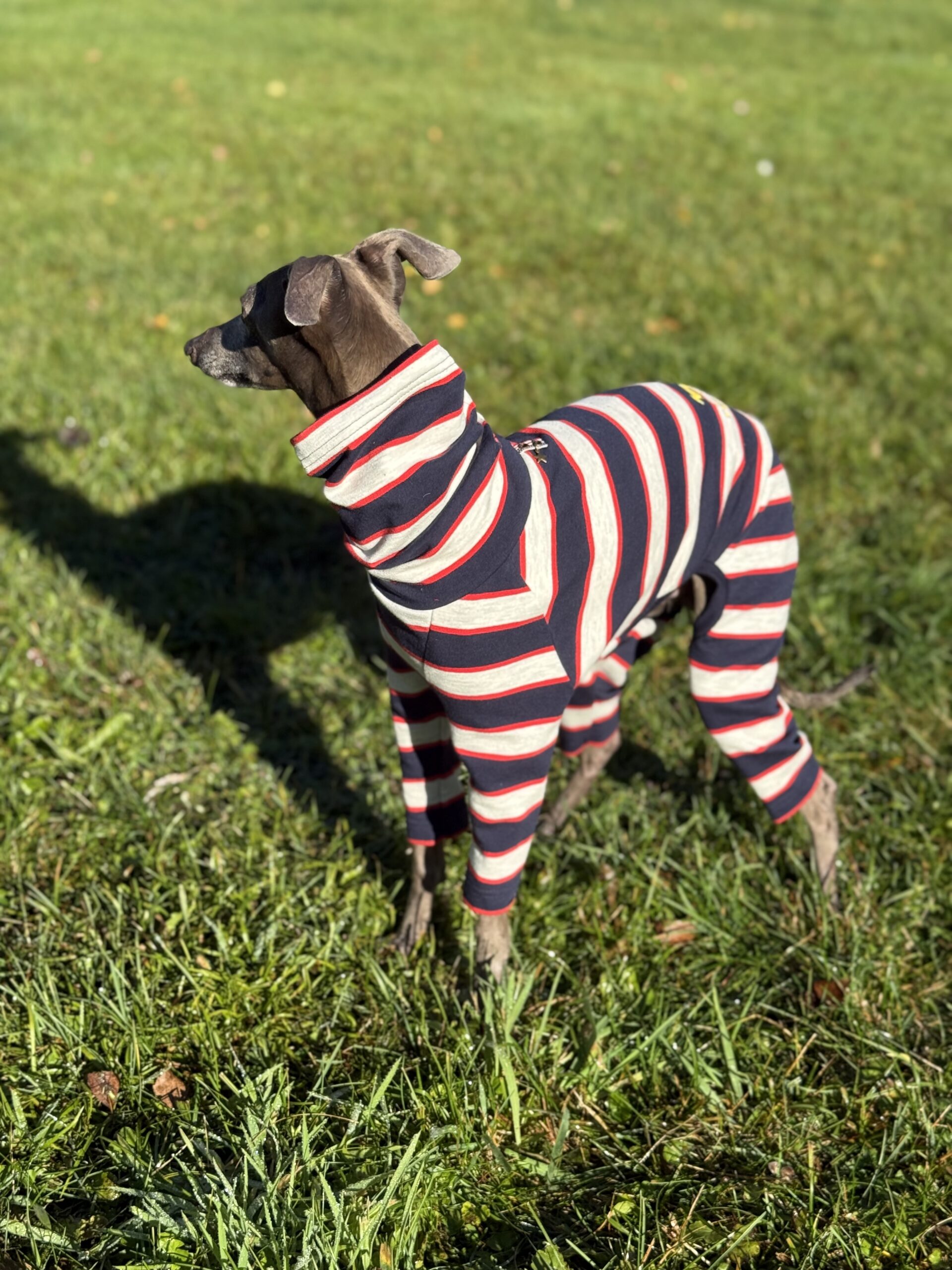 Ubranko dla charcika