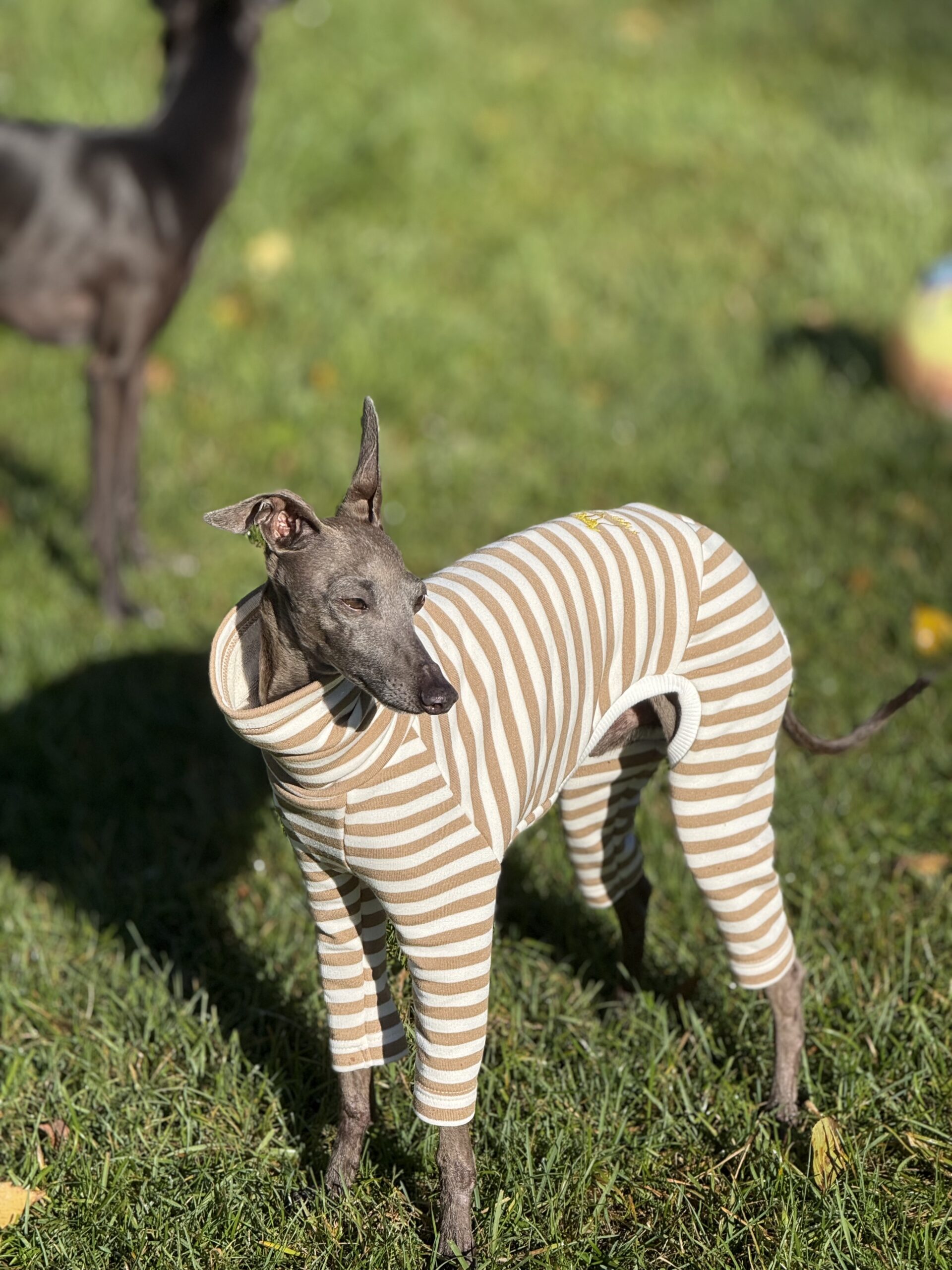 Ubranko dla charcika - Dres Paris - obrazek 9