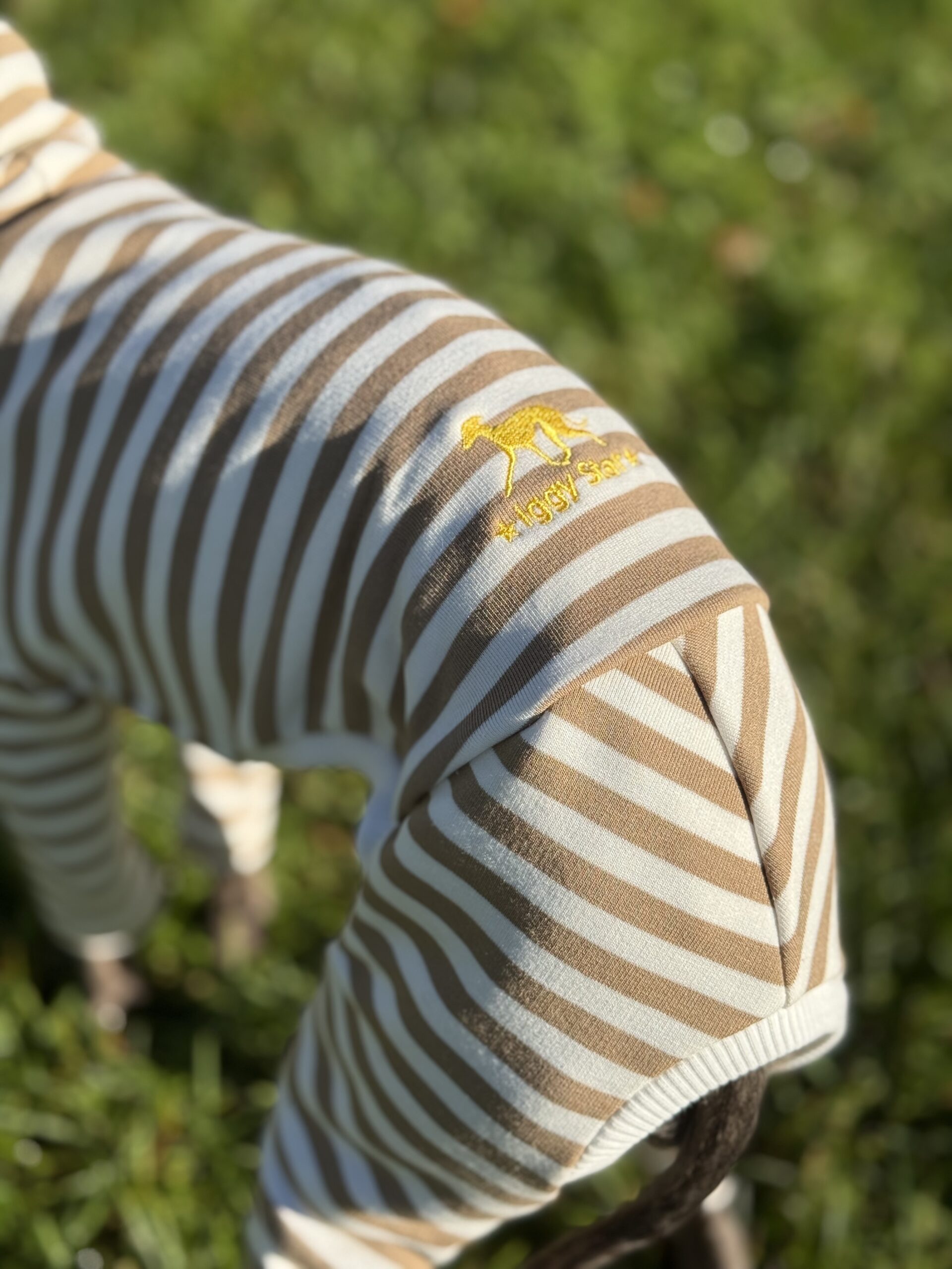 Ubranko dla charcika - Dres Paris - obrazek 7