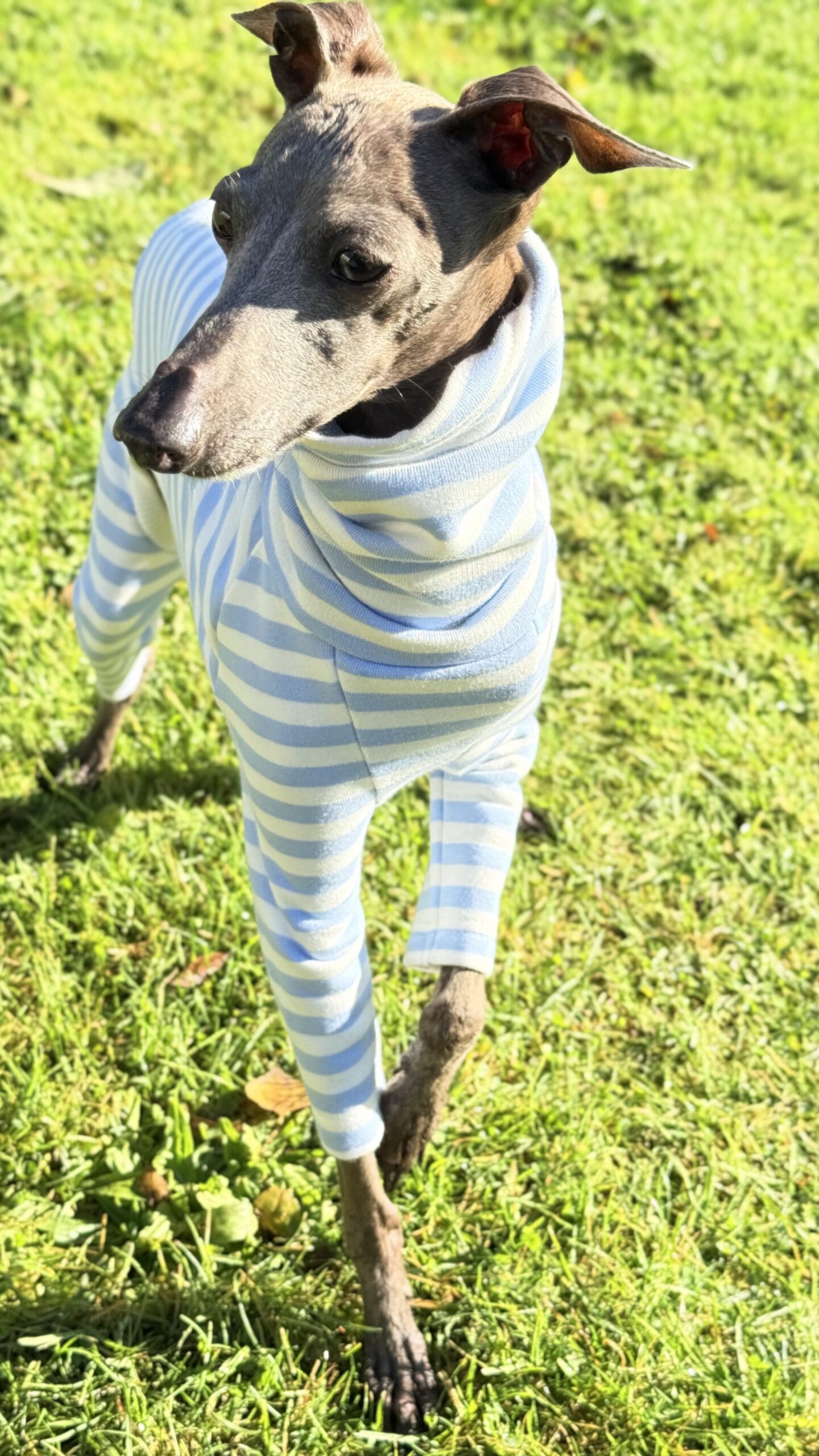 Ubranko dla charcika