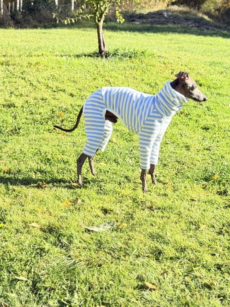 Ubranko dla charcika