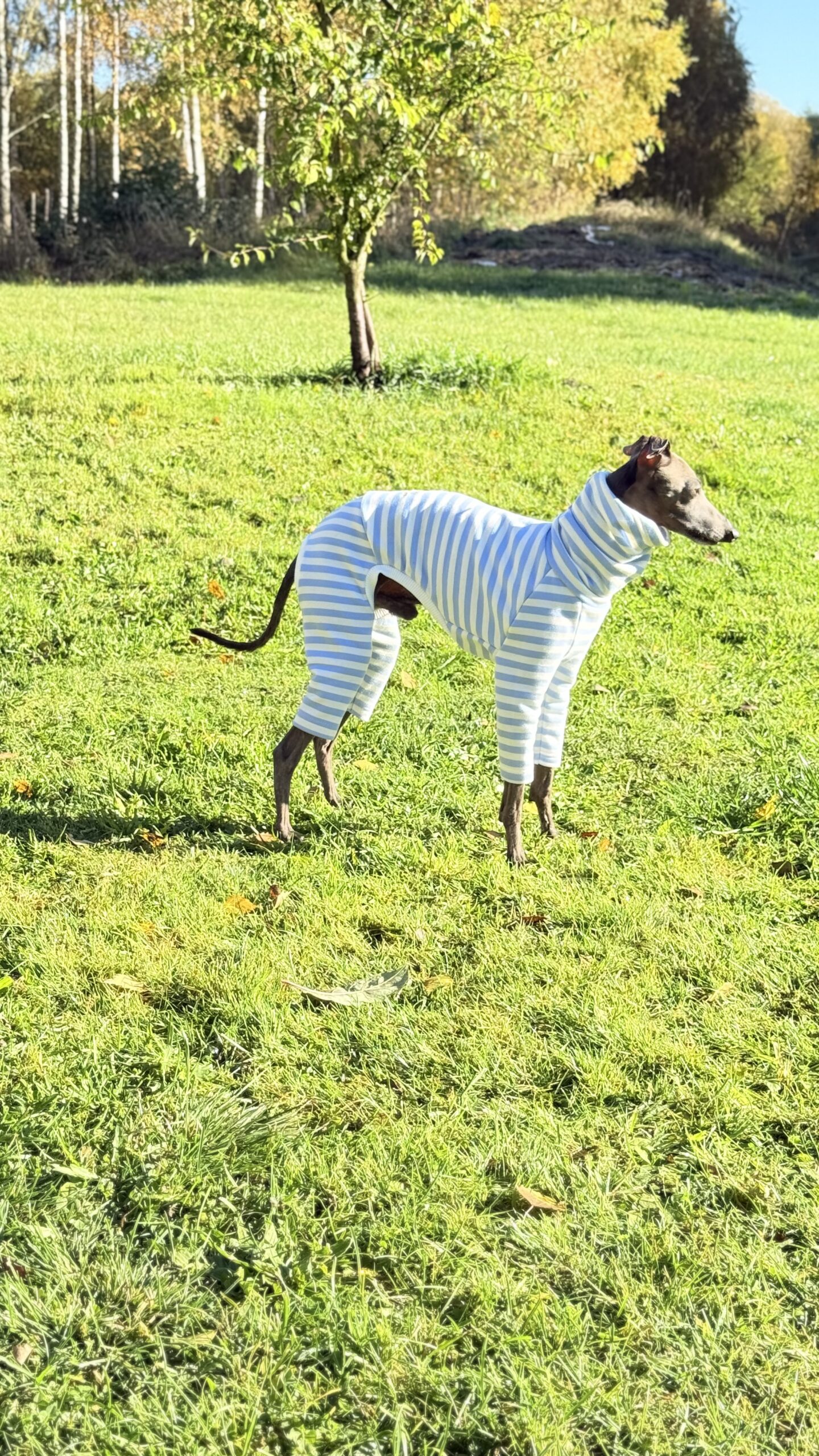 Ubranko dla charcika