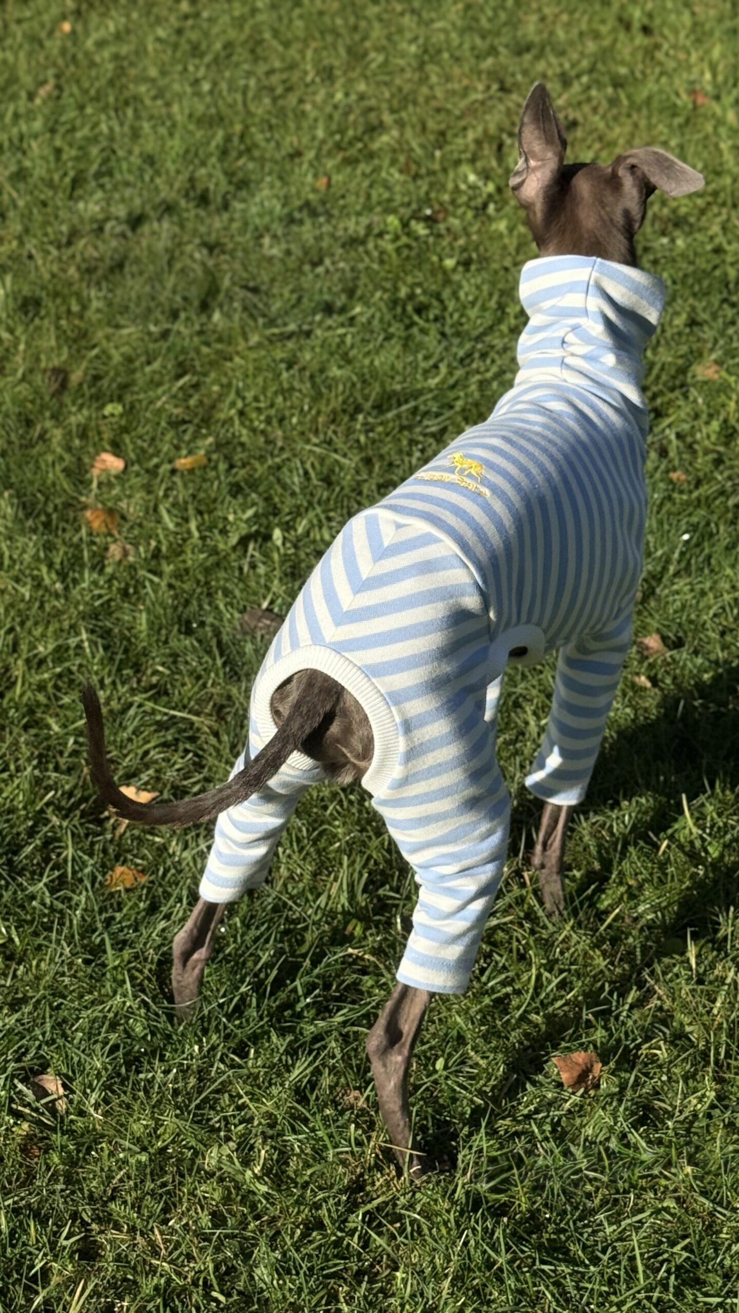 Ubranko dla charcika - Dres Paris - obrazek 12