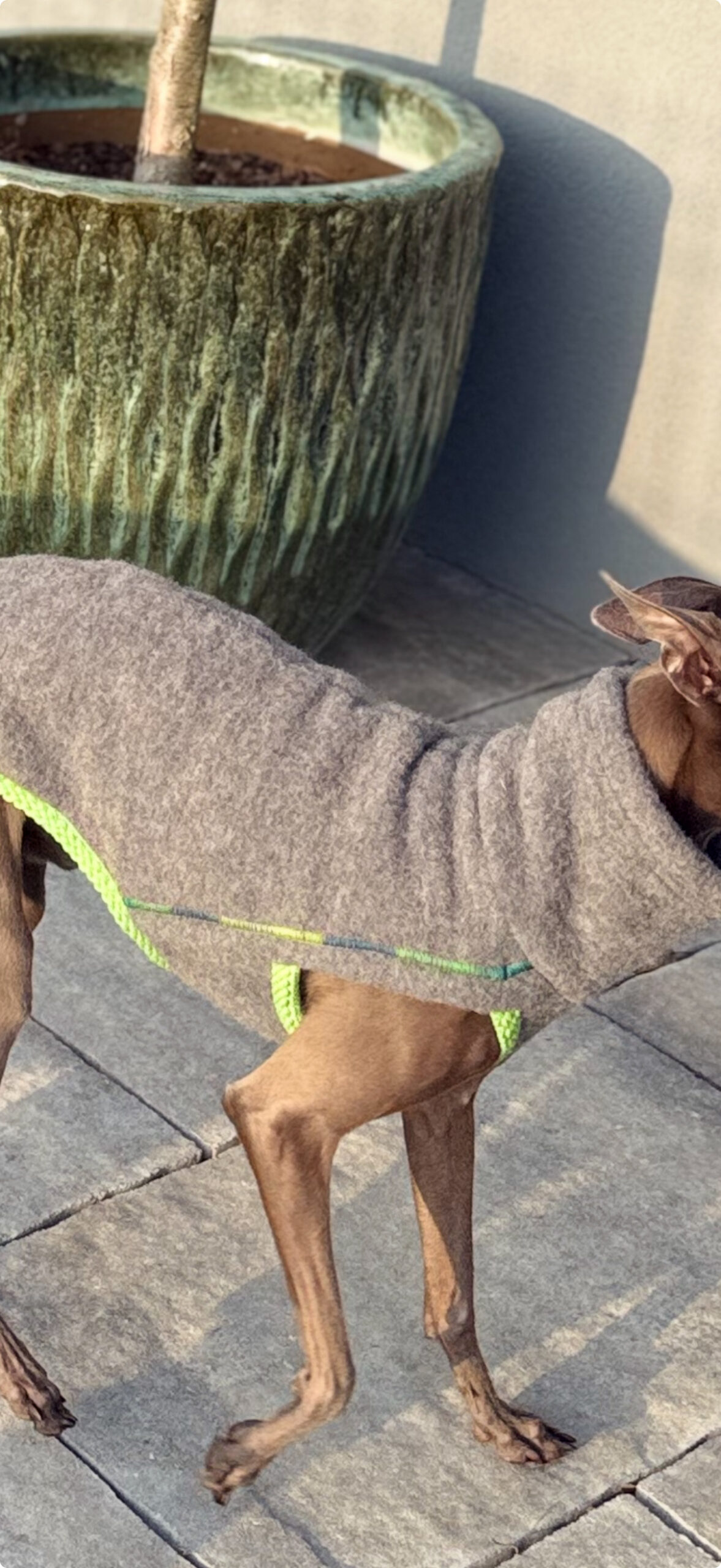 Ubranko dla charcika -Kamizelka Cortina - obrazek 3