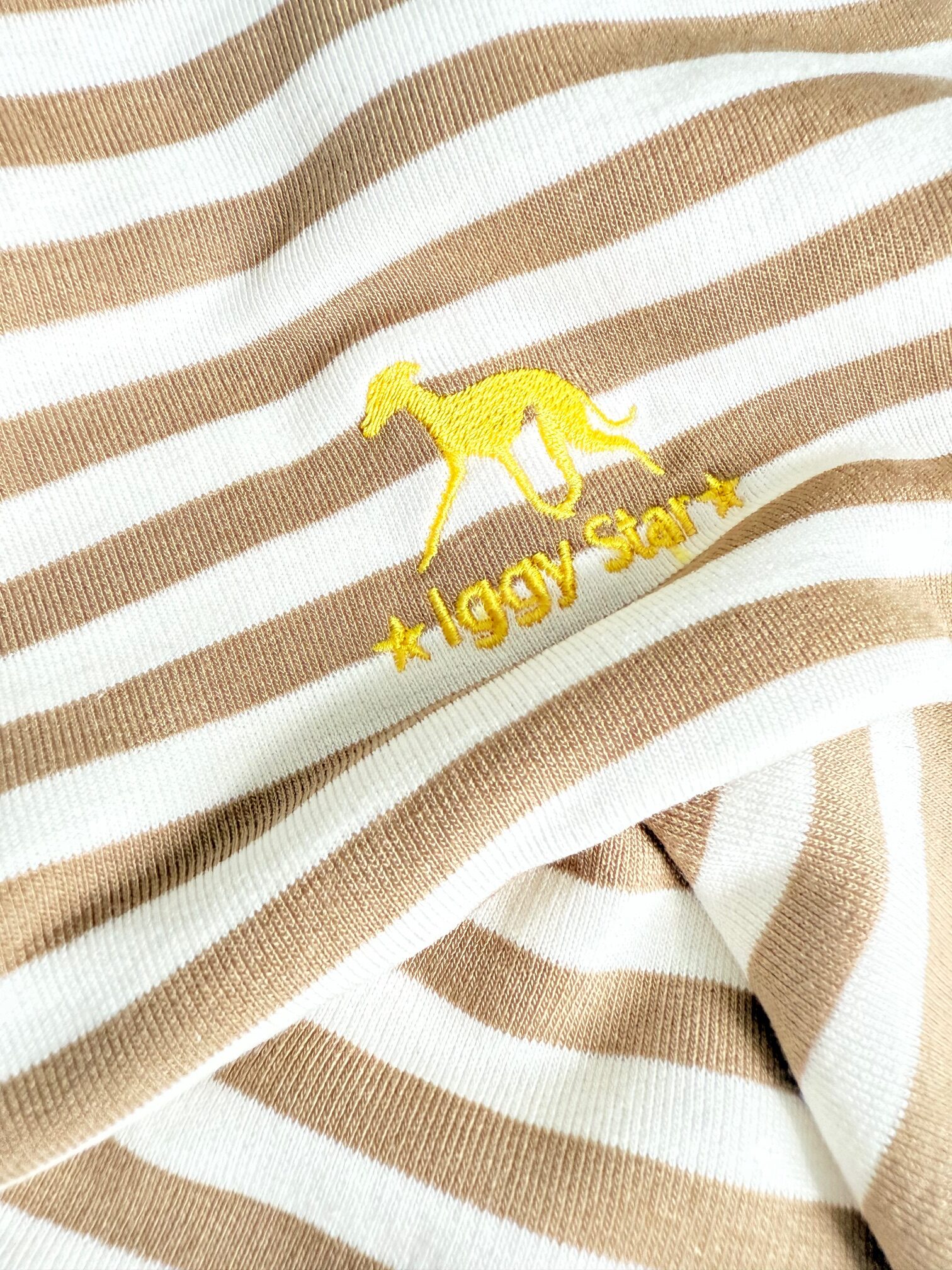 Charcik włoski ubranko w paski