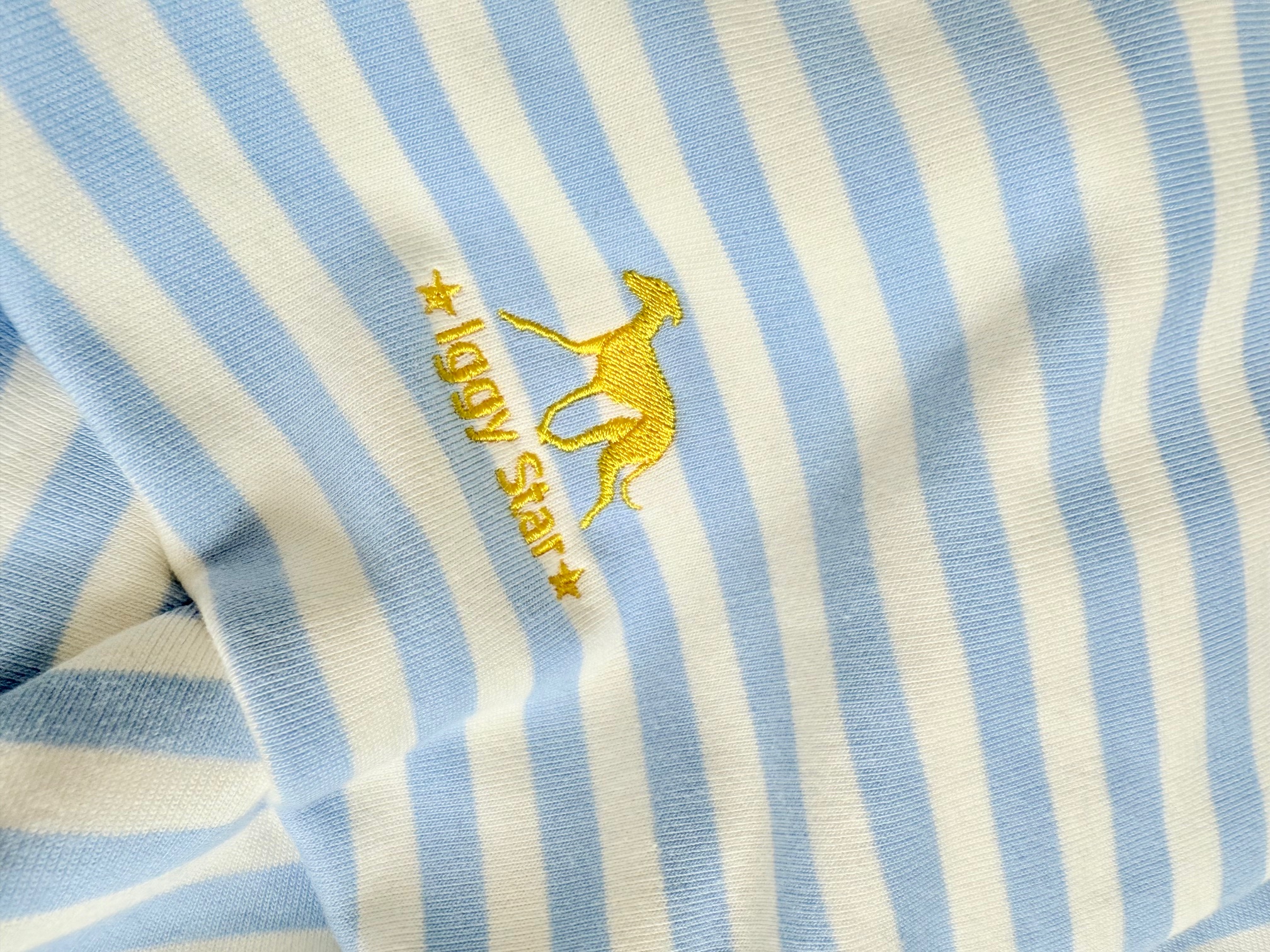 Ubranko dla charcika w paski