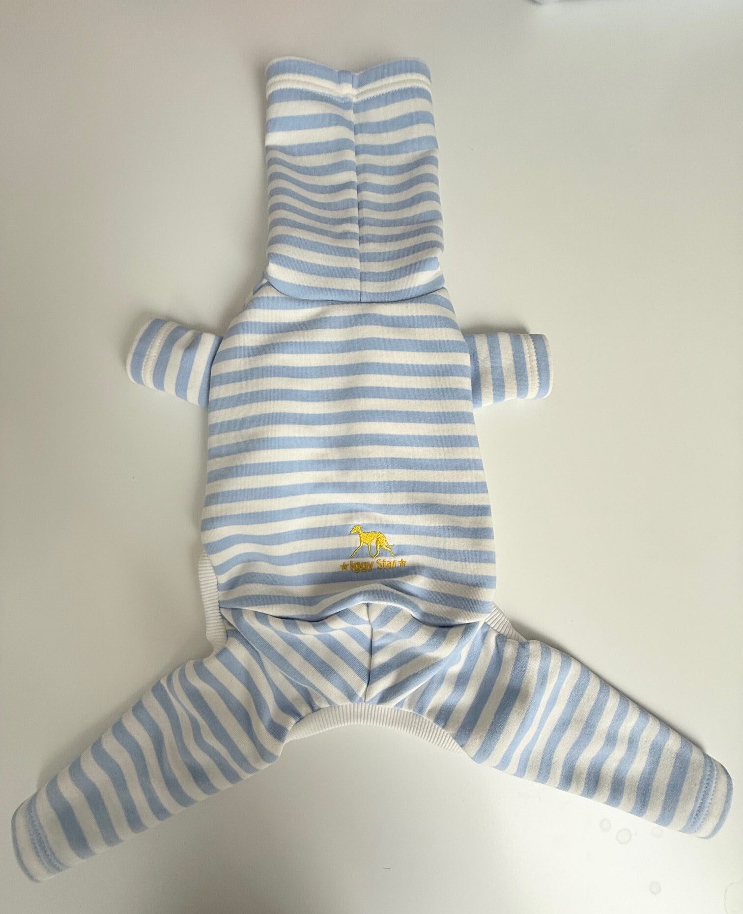 Ubranko dla charcika w paski