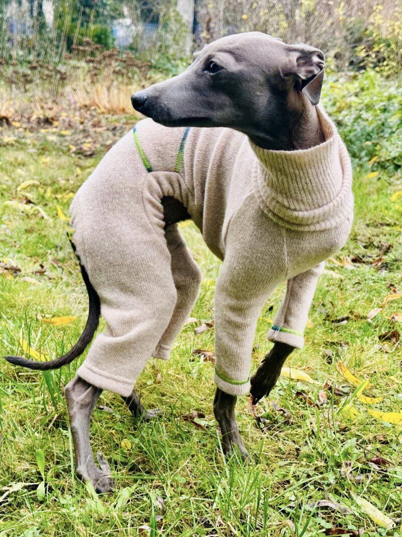 Ubranko dla charcika włoskiego