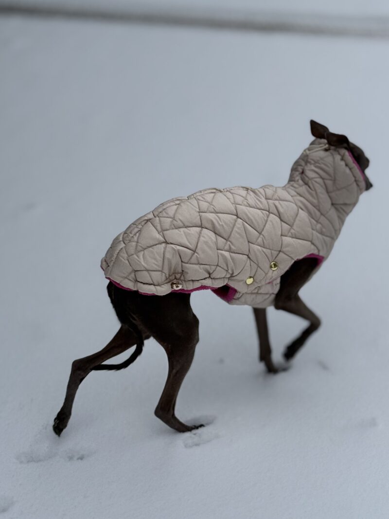 Ubranko dla charcika -Kamizelka Davos