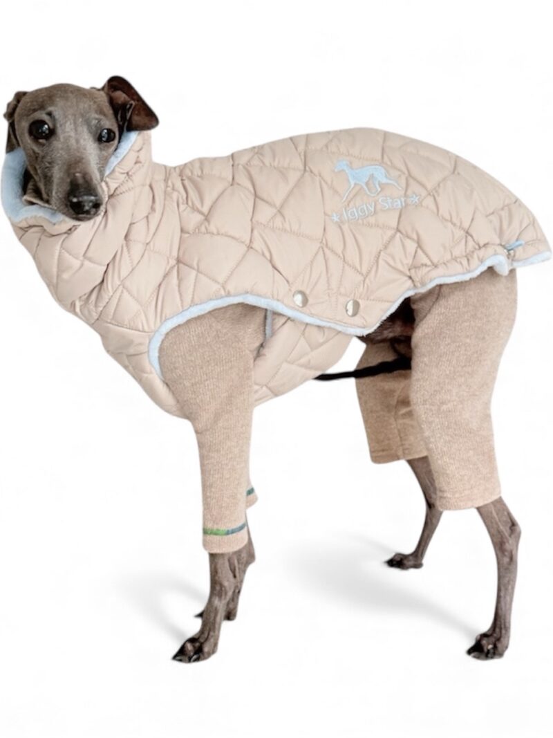 Ubranko dla charcika -Kamizelka Davos Blue