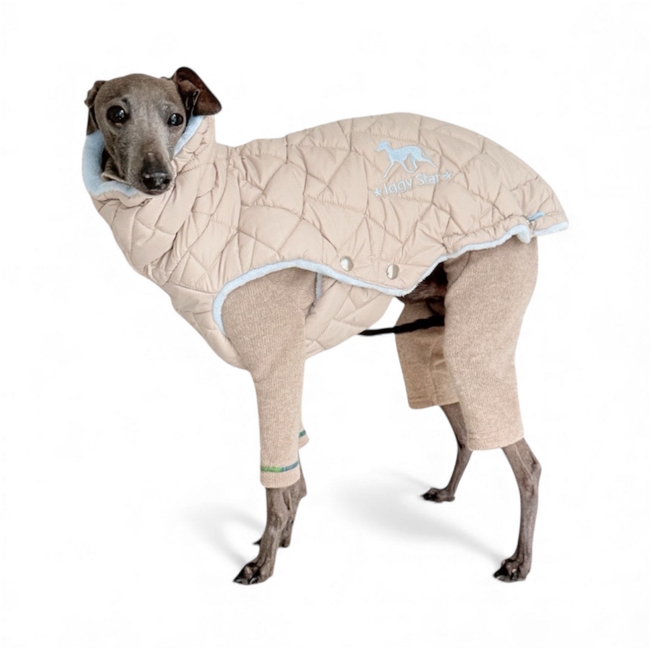 Ubranko dla charcika -Kamizelka Davos Blue