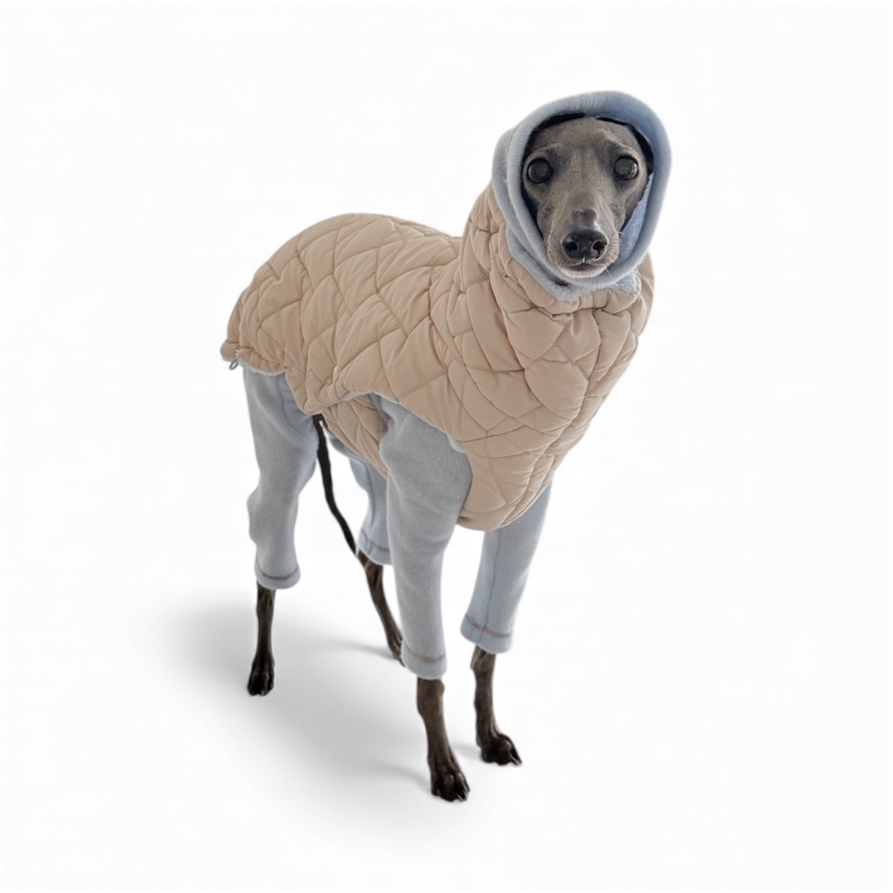 Ubranko dla charcika -Kamizelka Davos Blue - obrazek 5