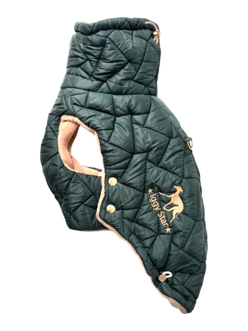 Kamizelka dla charcika włoskiego