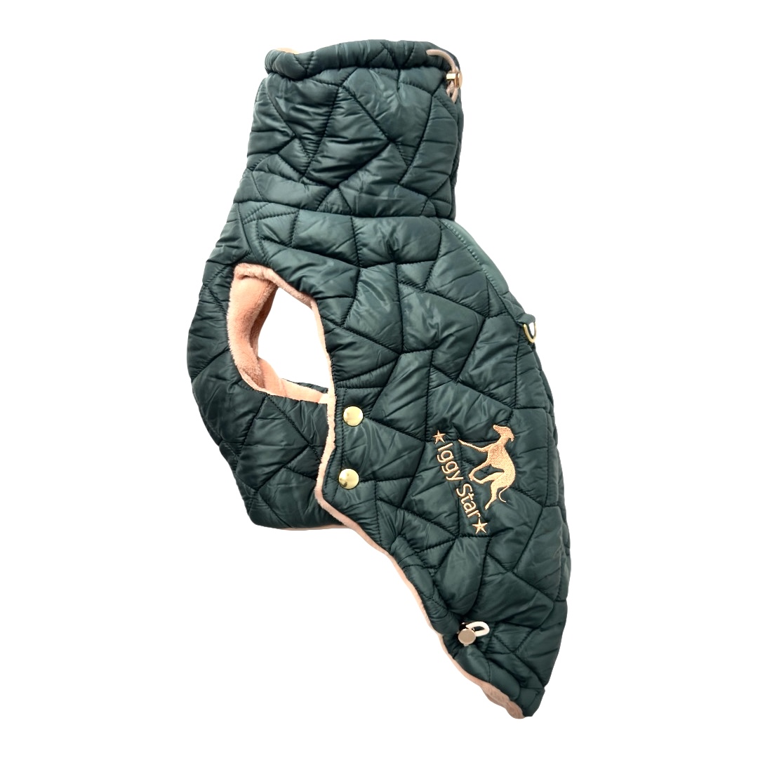 Kamizelka dla charcika włoskiego