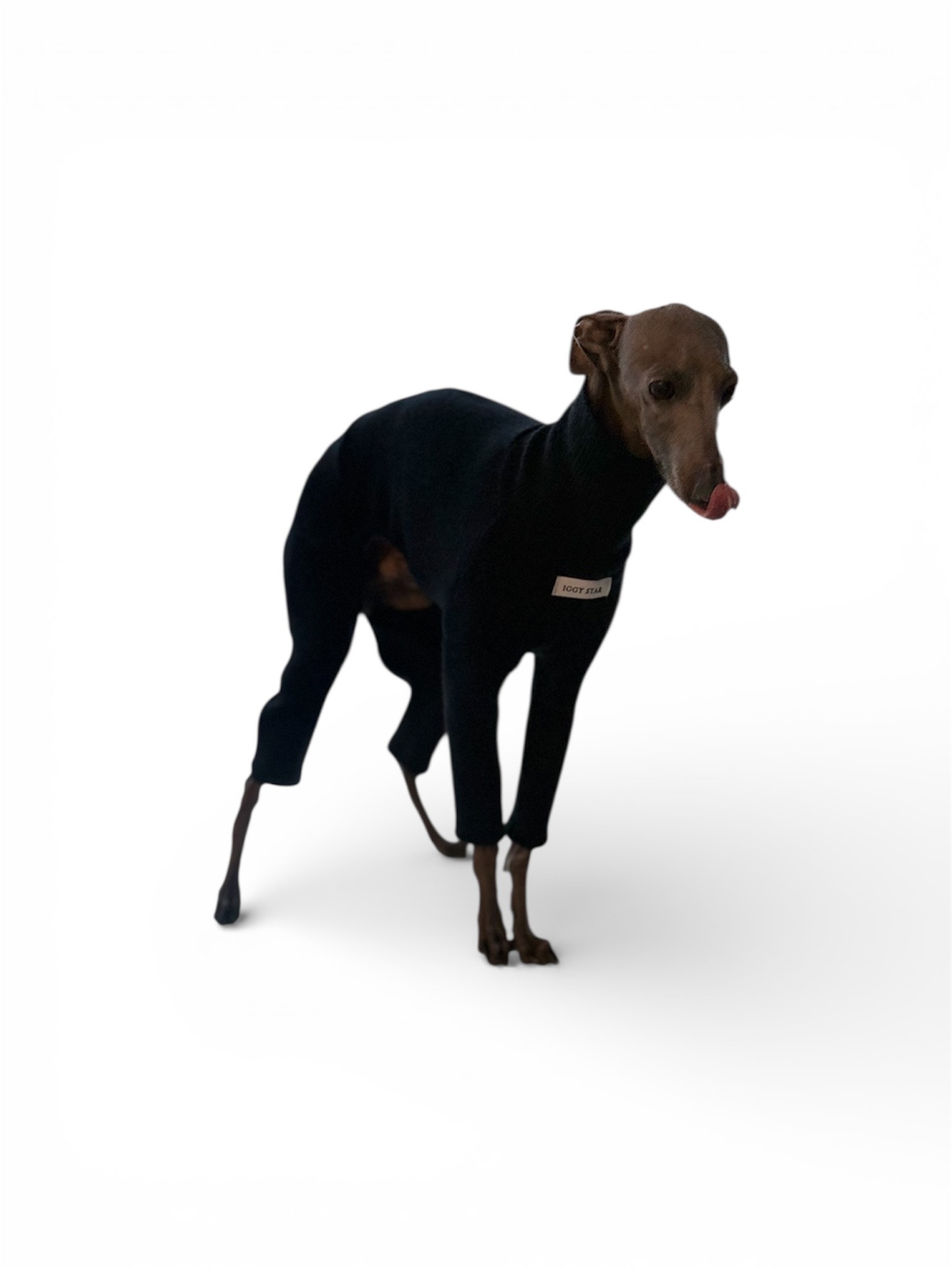 Ubranko dla charcika - Dres - Windsor - obrazek 5