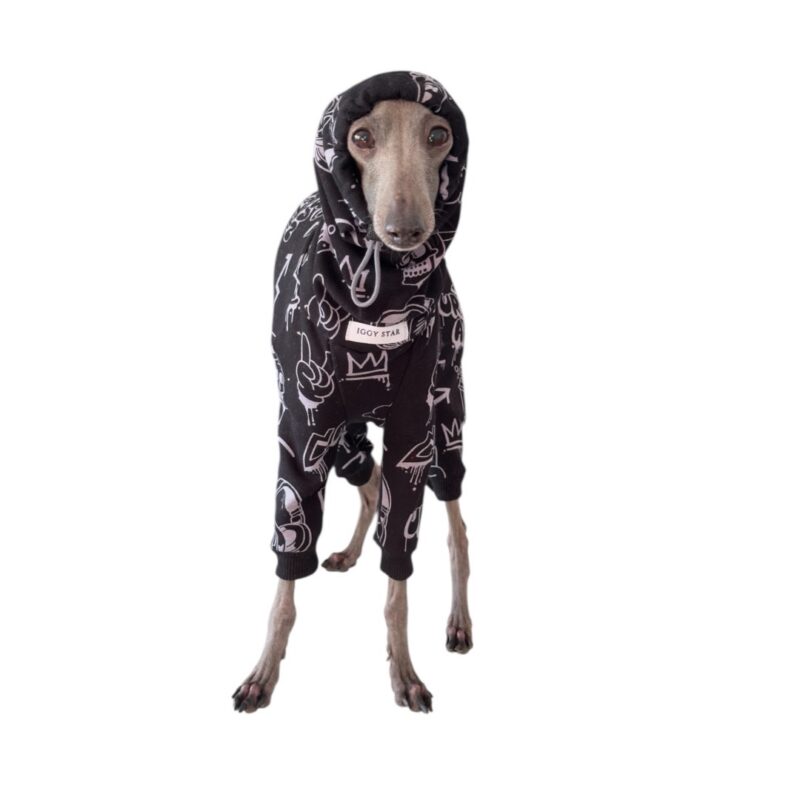 Charcik włoski - Dres - kombinezon Urban