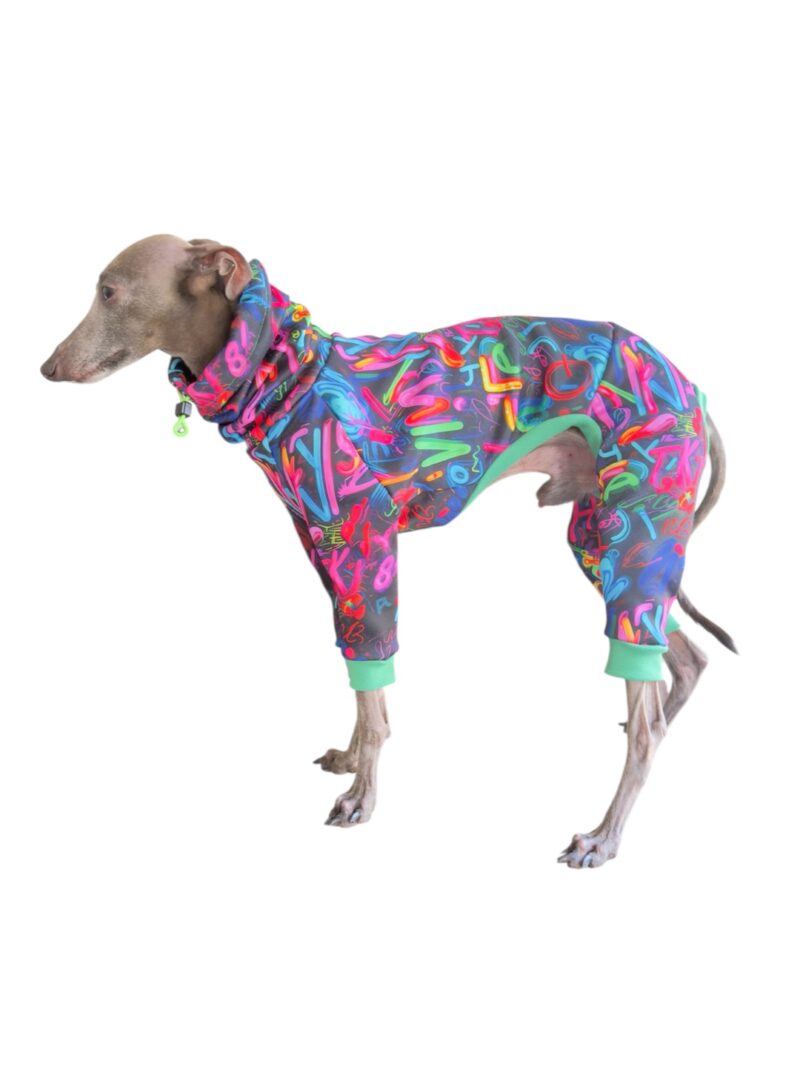 Ubranko dla charcika - Dres Vegas