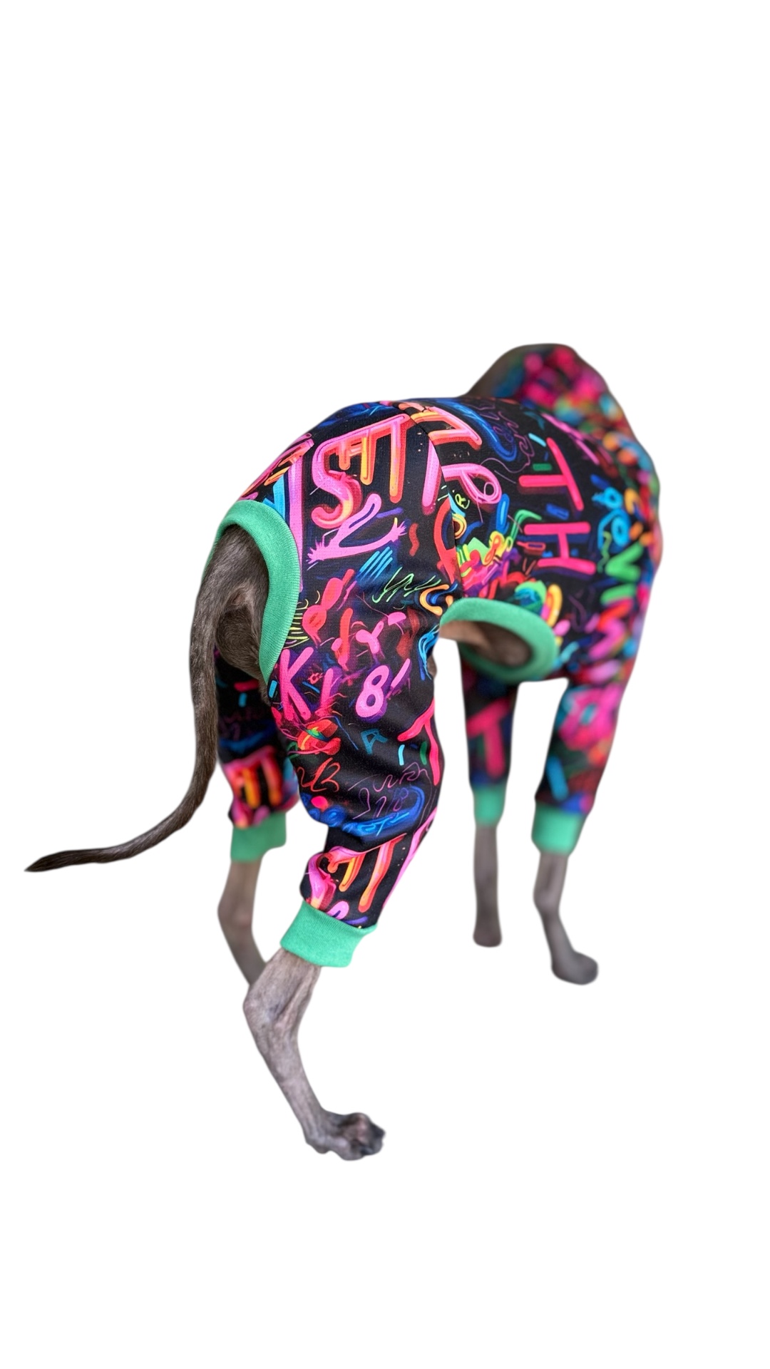 Ubranko dla charcika - Dres Vegas - obrazek 2