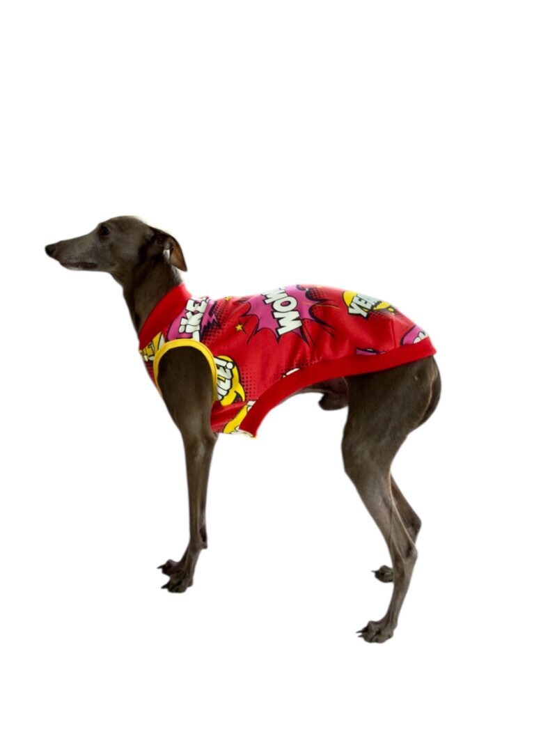 Ubranko dla charcika - Bluza Oxford